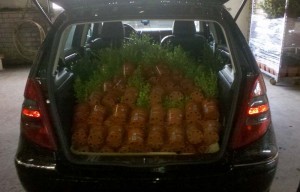 bezorgen_autovol
