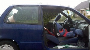 buxus piramide in suzuki alto