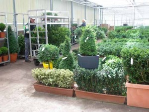 foto 15 snoeidag 2011