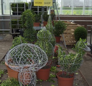 Buxus gaasfiguren