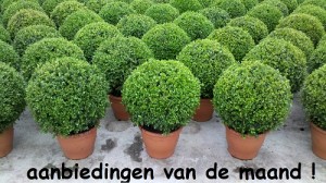 klik hier voor de aanbiedingen van deze maand